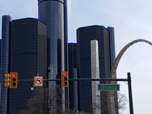 Reintroduction to Detroit313